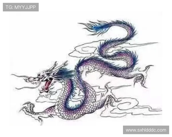 《西母霸龙家族:守护远古之心的史诗巨龙传奇》